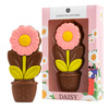 Ciocolata in forma de margareta Daisy Pink