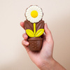 Ciocolata in forma de margareta Daisy White