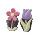 Ciocolata in forma de flori Little Flowers
