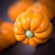 Cutie cu praline din ciocolata Black XL - Halloween