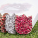 Ciocolata in forma de flori Bloom Chocolate Flowers Box