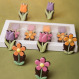 Ciocolata in forma de flori Little Flowers
