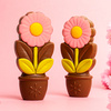Ciocolata in forma de margareta Daisy Pink